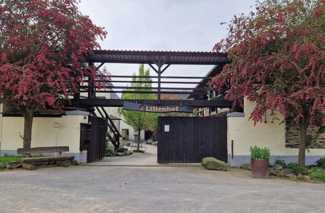 Schoene Wohnung Kleiner Onkel Auf Idyllischem Reiterhof Nahe Burg Eltz Münstermaifeld المظهر الخارجي الصورة